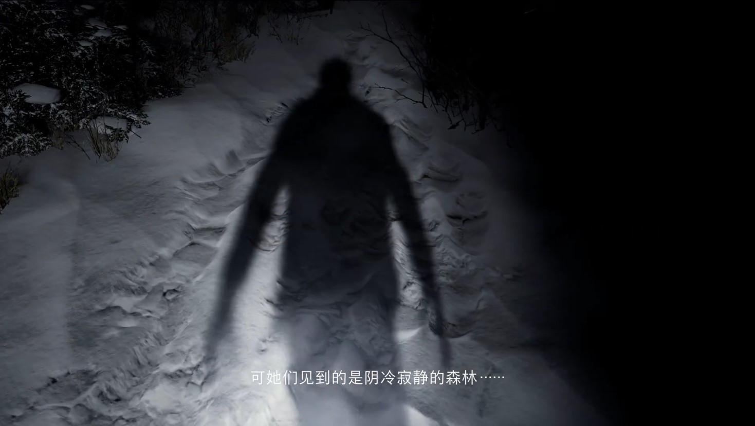 PS5游戏发布会：《生化危机8：村庄》新宣传片公开