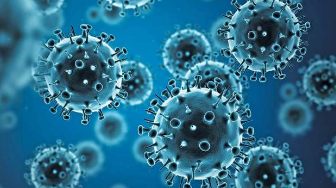 群马大学教授人工合成新冠病毒成功 迈出对抗病毒重要一步