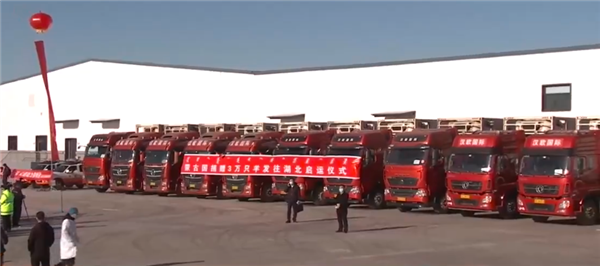 羊肉来了！蒙古国捐赠的首批12000只羊加工后正运往武汉